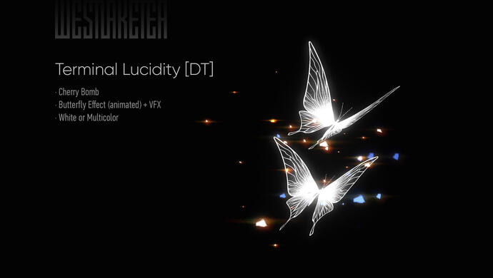 Terminal Lucidity