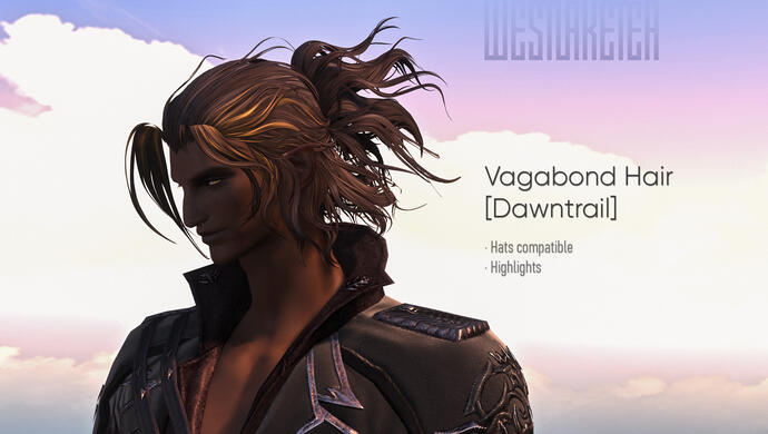 Vagabond